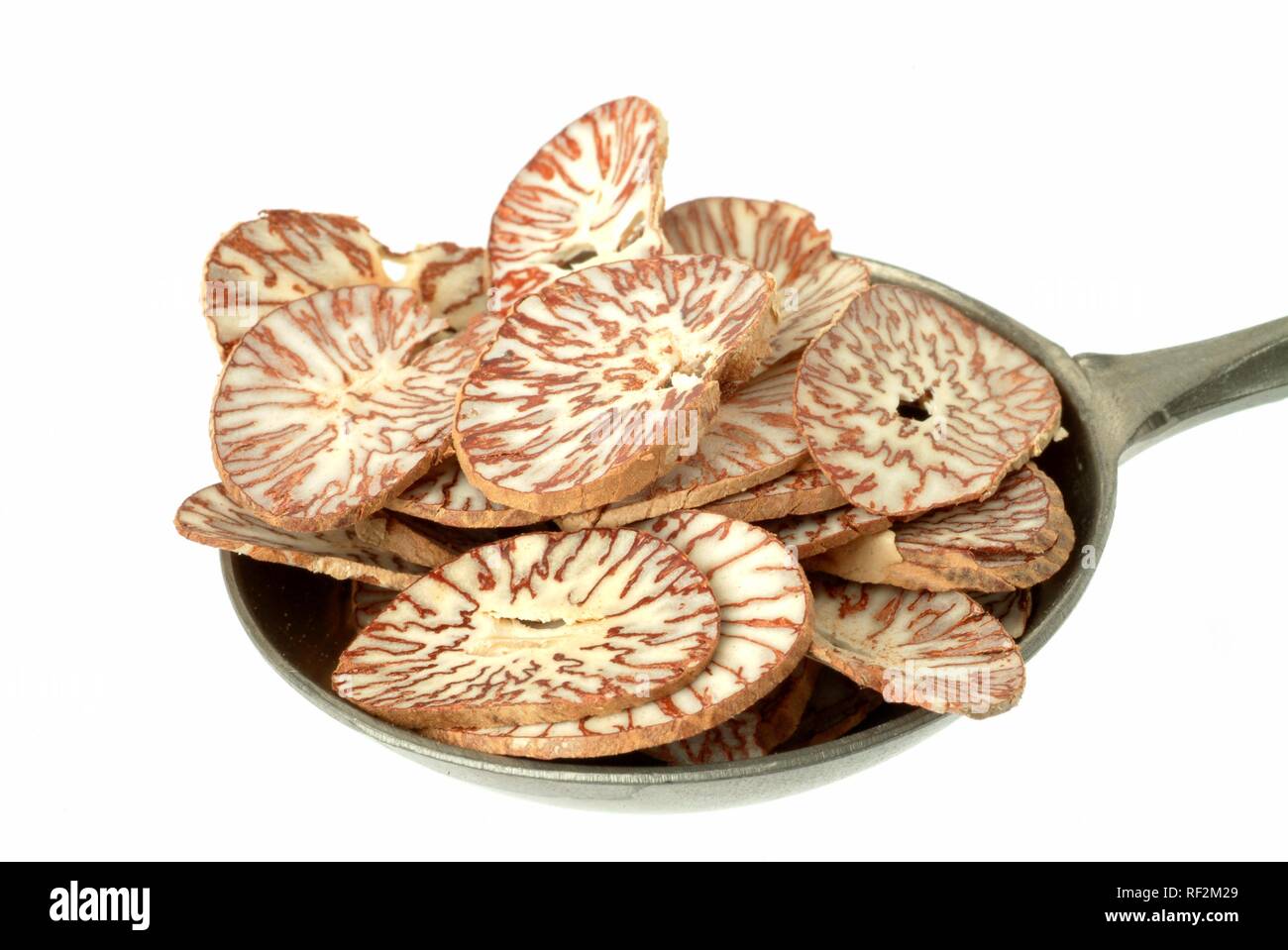 Dried rings of Betel Palm (Areca catechu) aka Betel Nut Tree or Pinang in a measuring spoon, medicinal plant Stock Photo
