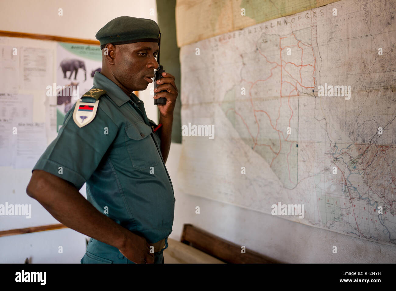 Managing law enforcement is a big part of protecting wildlife and conservation areas in Majete Wildlife Reserve, Malaw, requiring tactical expertise Stock Photo