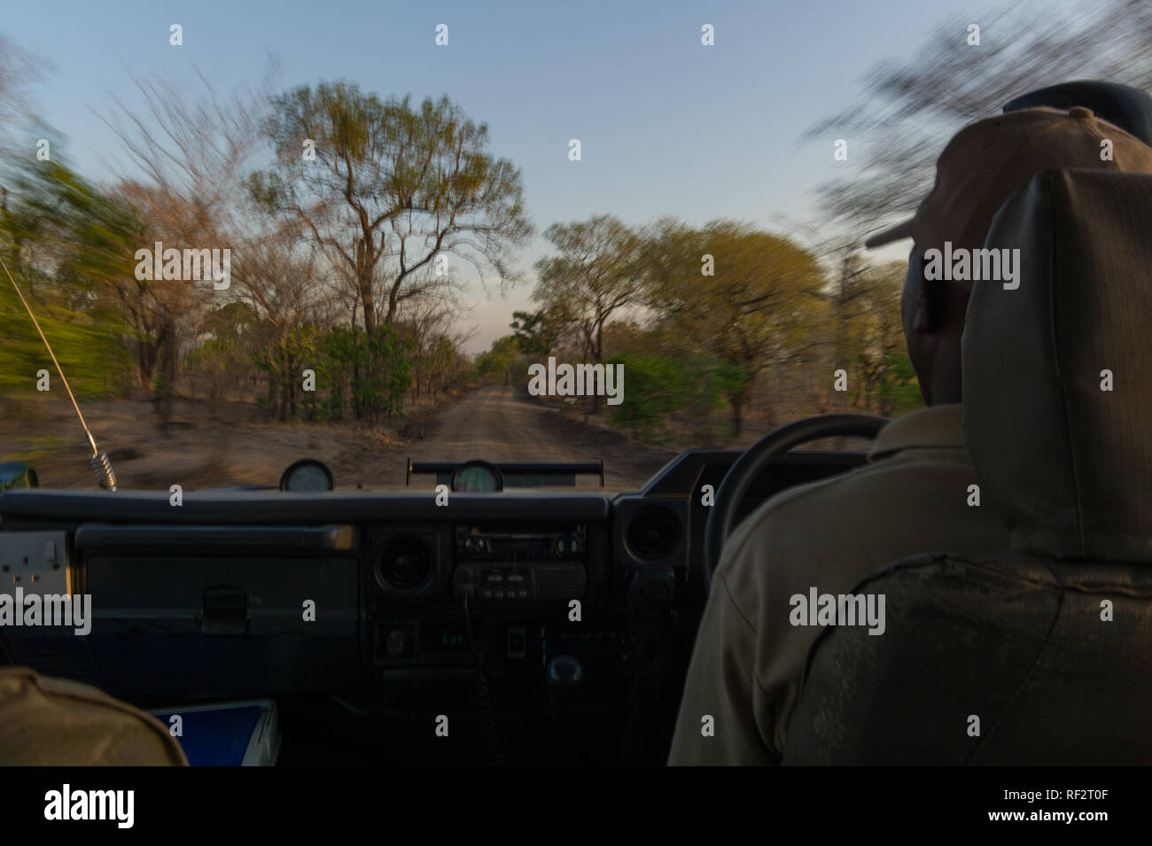 Game drives are an exciting way for tourists to experience the Majete Wildlife Reserve in southern Malawi; here a safari guide drives an open vehicle Stock Photo