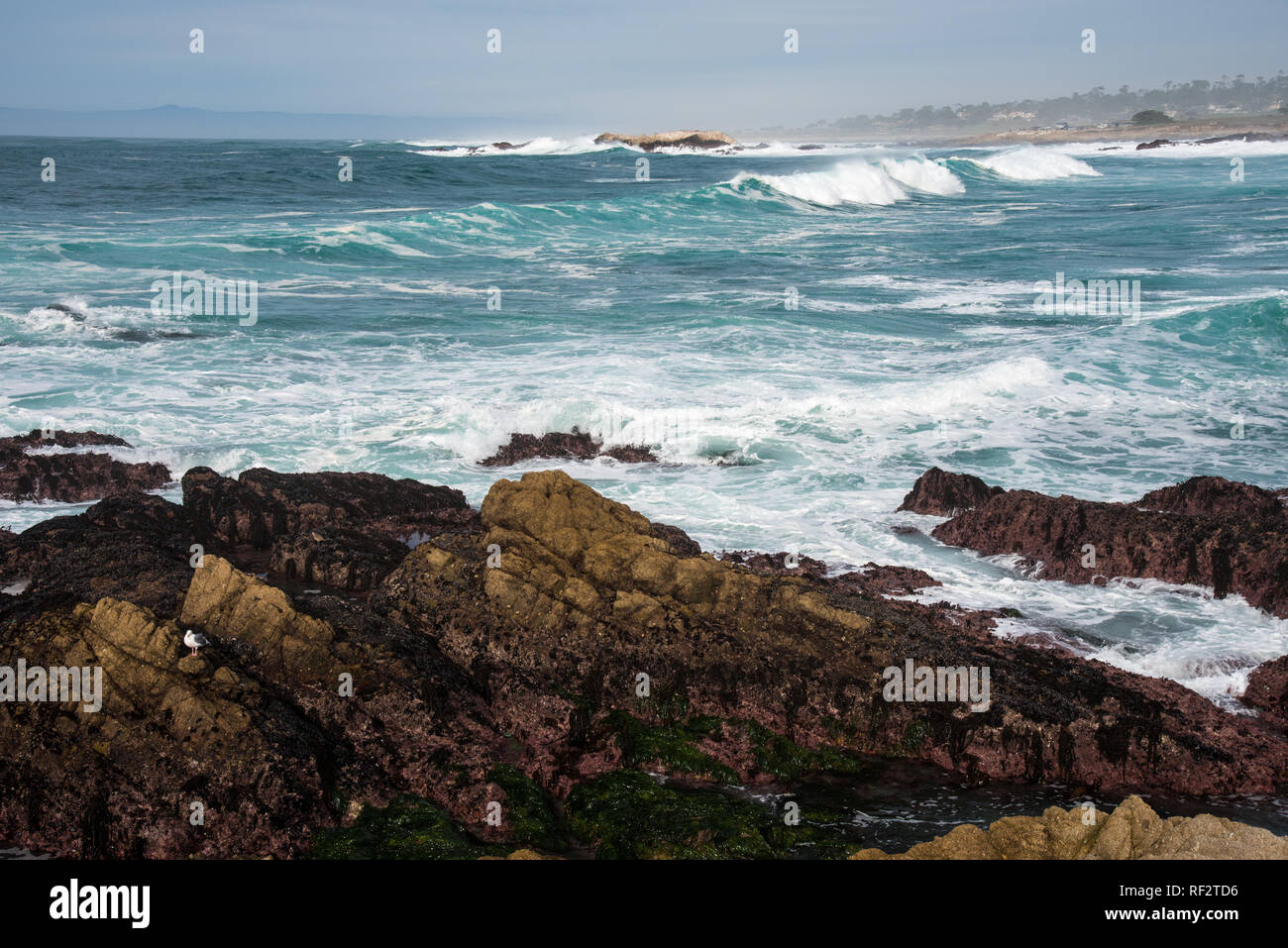 Rocky shore line, waves and beach scene on the Monterrey Peninsula.  The variation and variety of beautiful seascapes are endless. Stock Photo