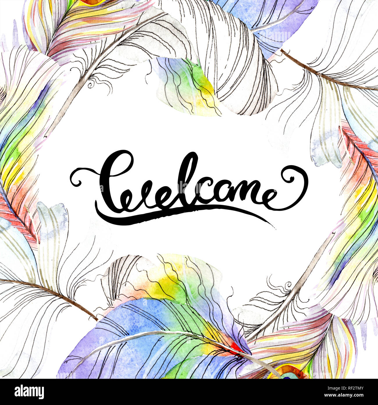 Colorful bird feather from wing isolated. Aquarelle feather for frame ...