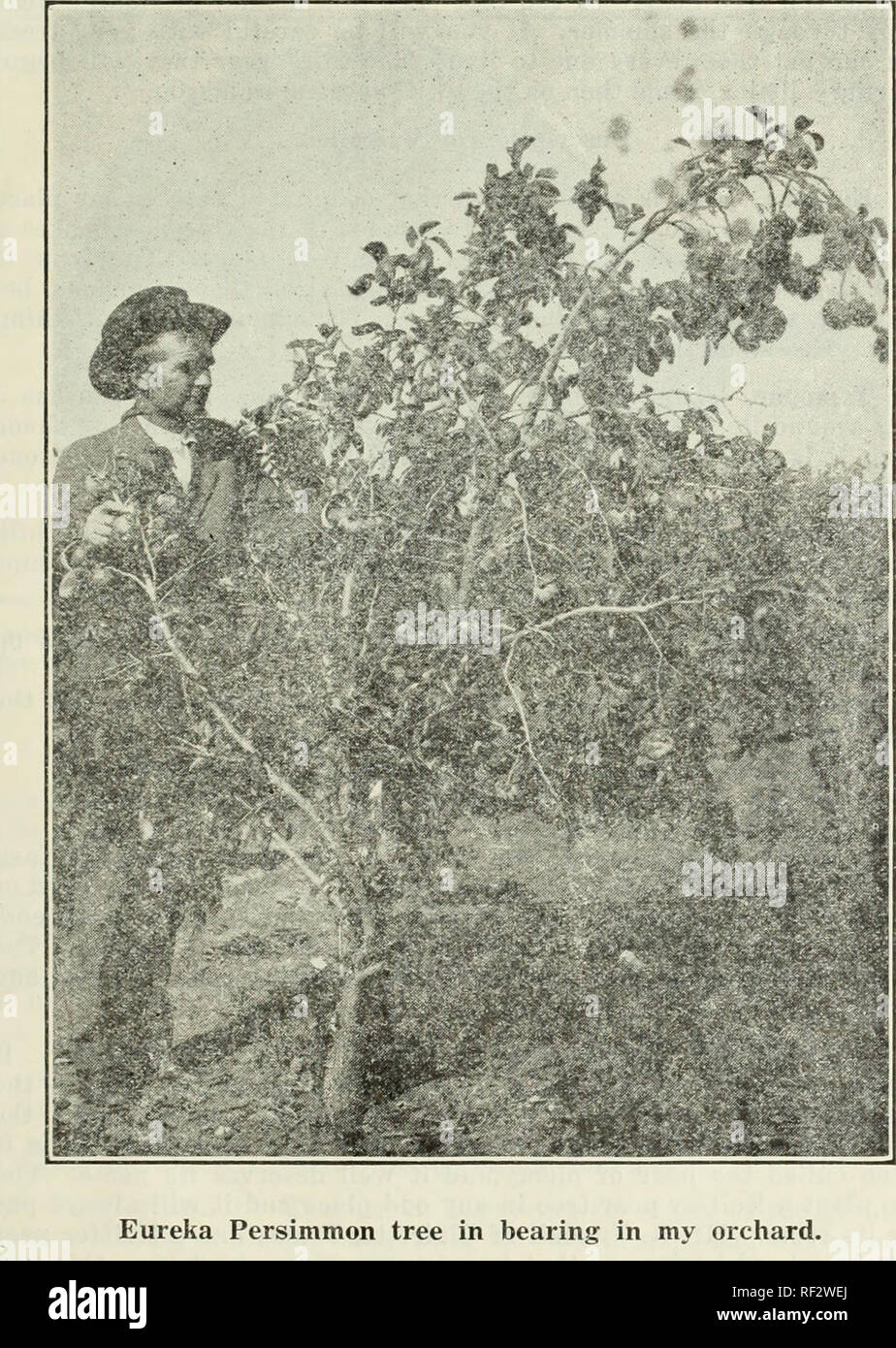 Stephenville Texas High Resolution Stock Photography and Images Alamy