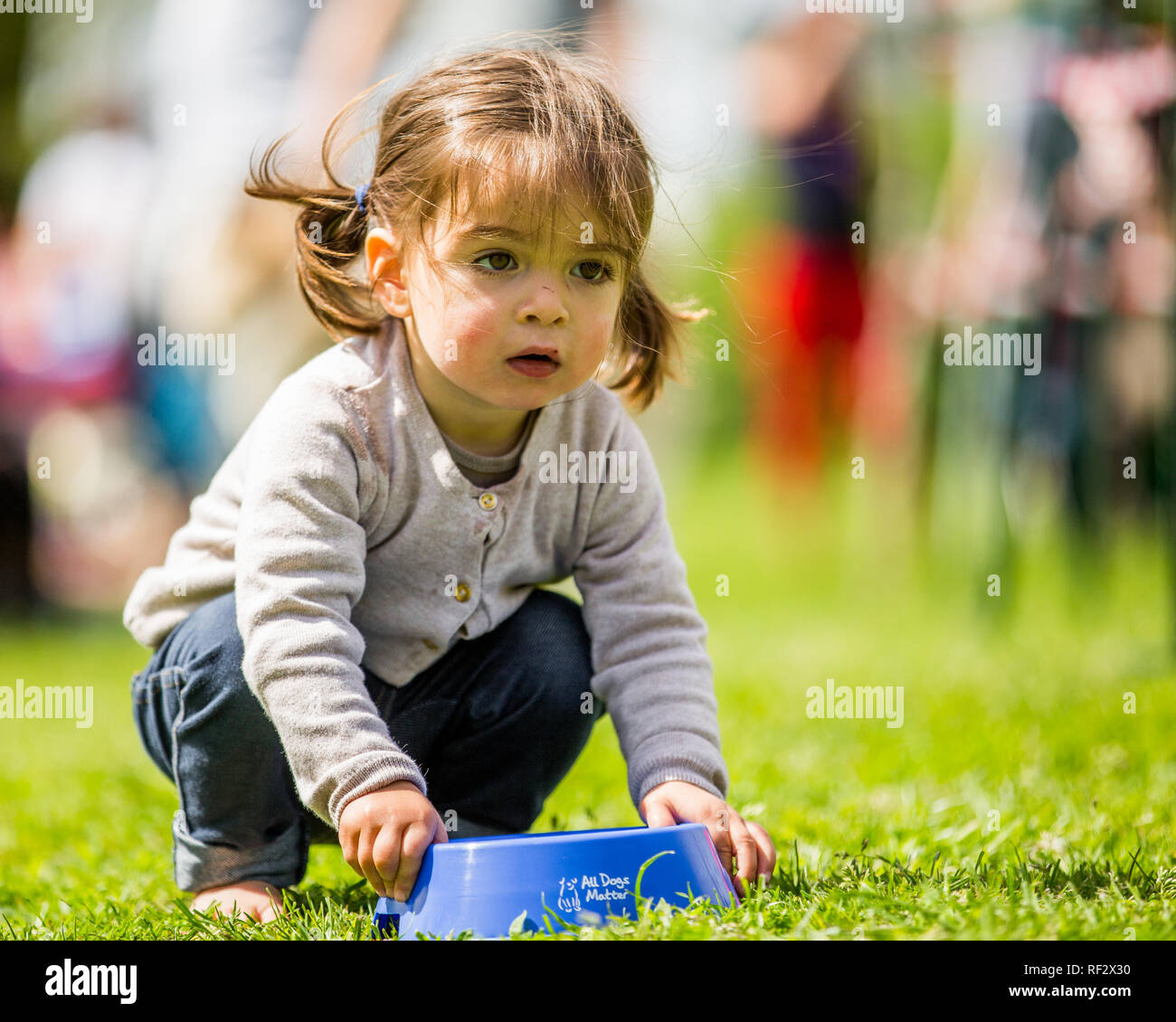 A little girl holding a dog bowl at the Hampstead Heath dog show. Stock Photo