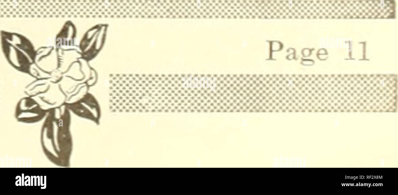 Catalog 1945 Seeds Catalogs Vegetables Catalogs Plants Catalogs Flowers Catalogs Gardening Equipment And Supplies Catalogs Bliss