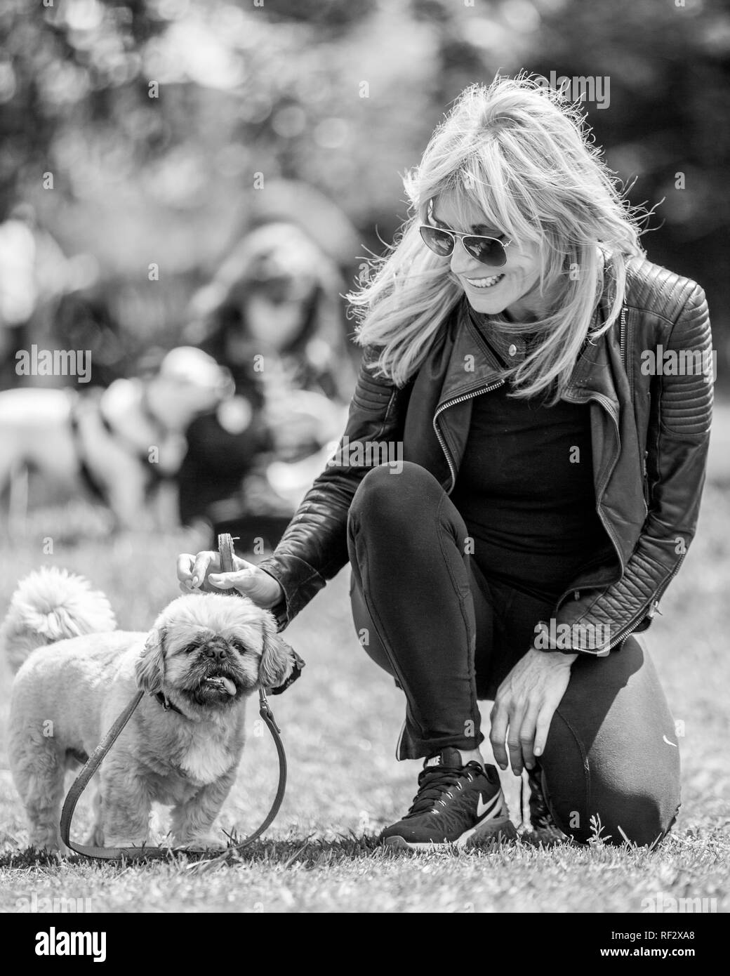 Michelle Collins ready to judge a dog show on Hampstead heath in London with her dog Humphrey Stock Photo