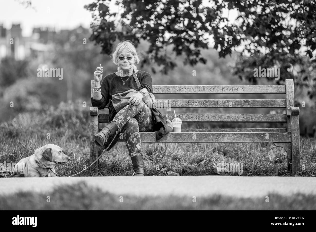 A woman sitting on a park bench and her dog waiting to enter a dog show ...