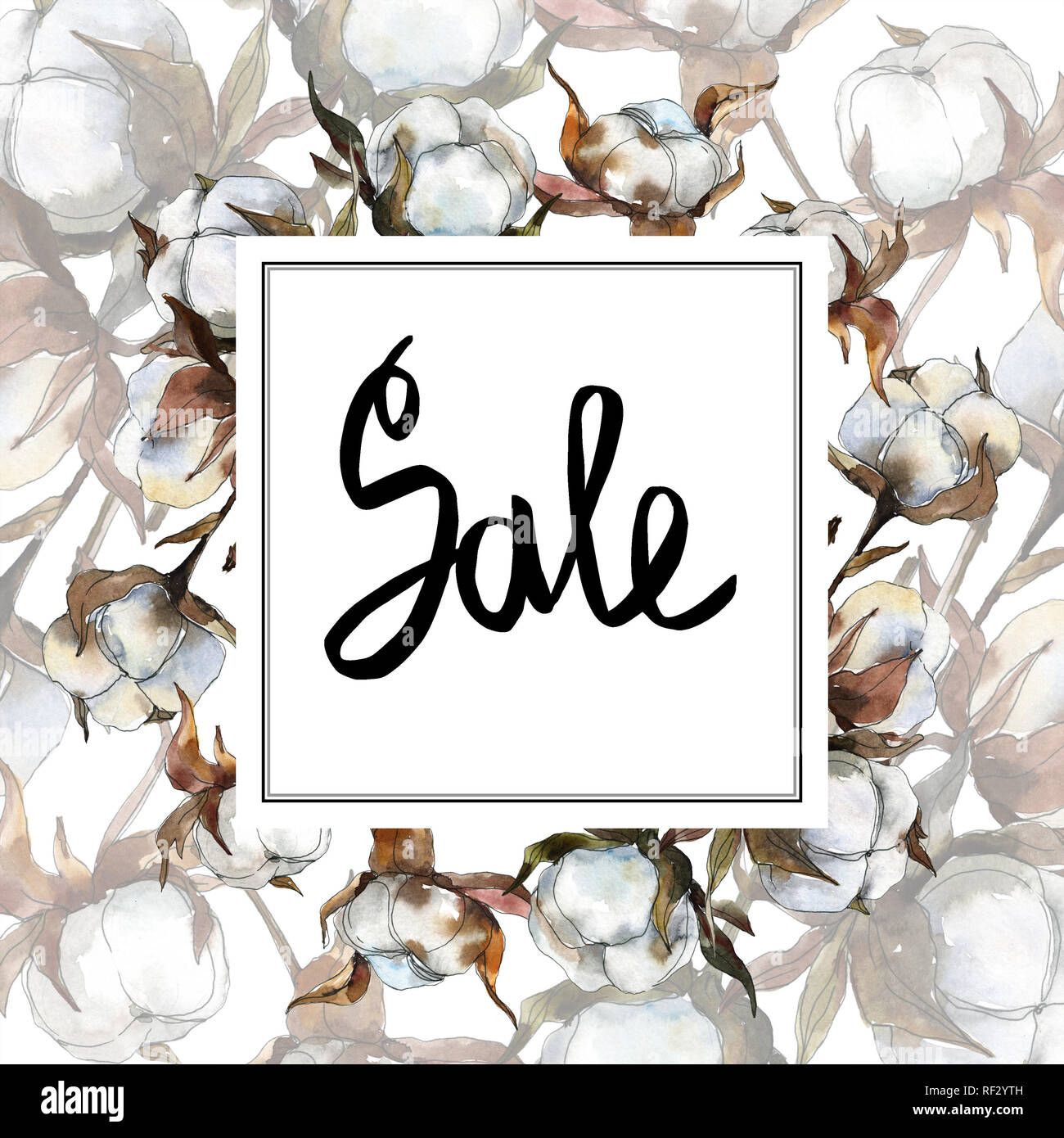 Cotton floral botanical flower. Watercolor background illustration set