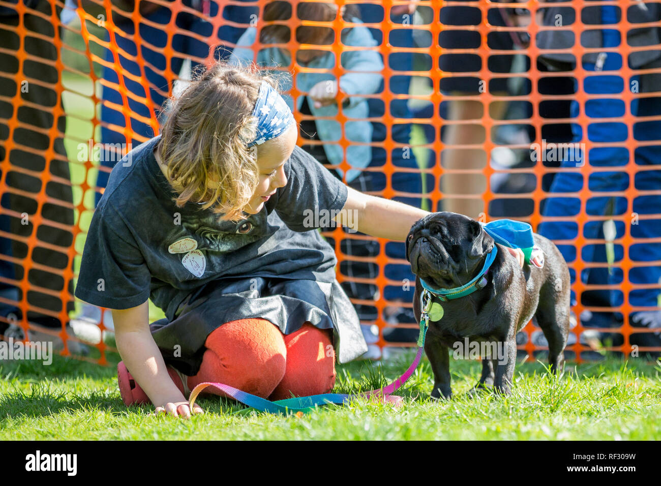 A young girl sitting on the grass with her dog in the park at a dog ...