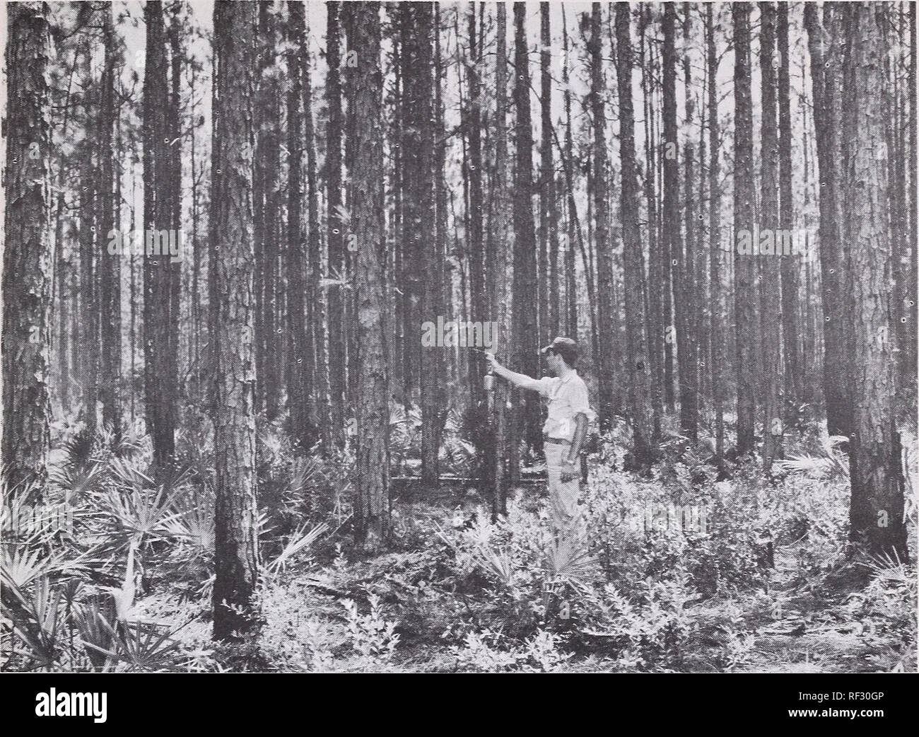 Managing The Family Forest Forest Management Woodlots