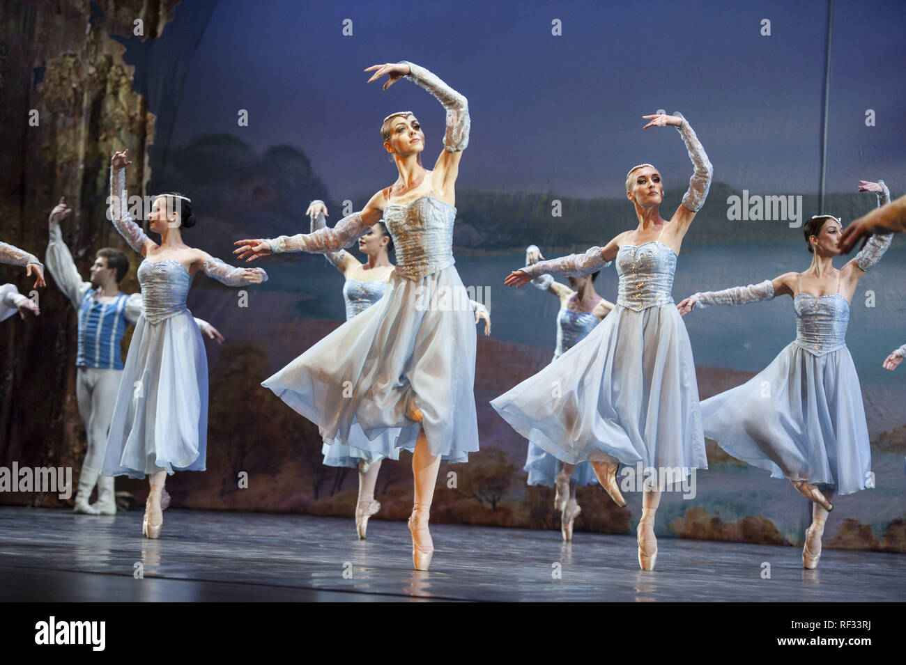 Swan dance hi-res stock photography and images - Page 20 - Alamy