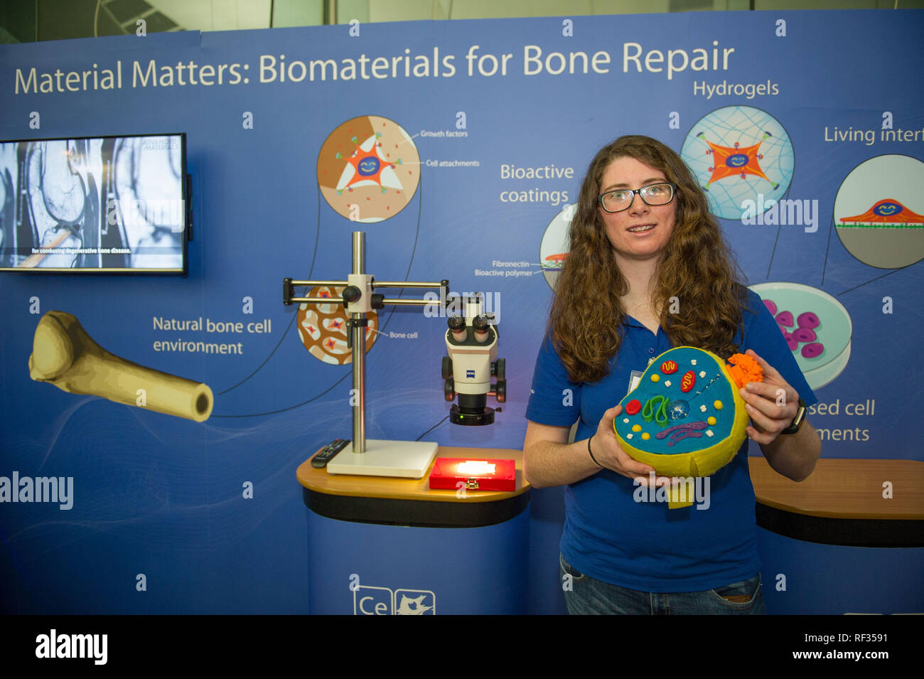 Edinburgh, UK. 23 January 2019.  University of Glasgow team present various models and show 3D printing for bone structures and biomaterials.  Science Minister Richard Lochhead, Scottish Science Advisory Council Chair Professor Paul Boyle and Scotland's Chief Scientific Adviser Professor Sheila Rowan speak at the official launch of a major new report on Scottish science.  The report will examine the scientific landscape in Scotland between 2007 and 2016 and will compare how the Scottish science and research sector has performed against other similar sized countries. Credit: Colin Fisher/Alamy  Stock Photo