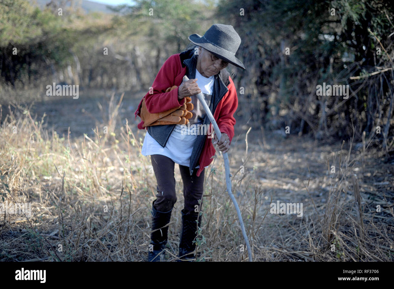 23 January 2019, Mexico, Huitzuco: Participants of the 4th National Search Brigade are searching for hidden graves. More than 40,000 people are considered missing in Mexico. A group of relatives tries on their own to find hidden graves and thus perhaps to make the mourning possible for some families. (to dpa 'The Search for Certainty - Hidden Tombs in Mexico' of 24.01.2019) Photo: Jesus Alvarado/dpa Stock Photo