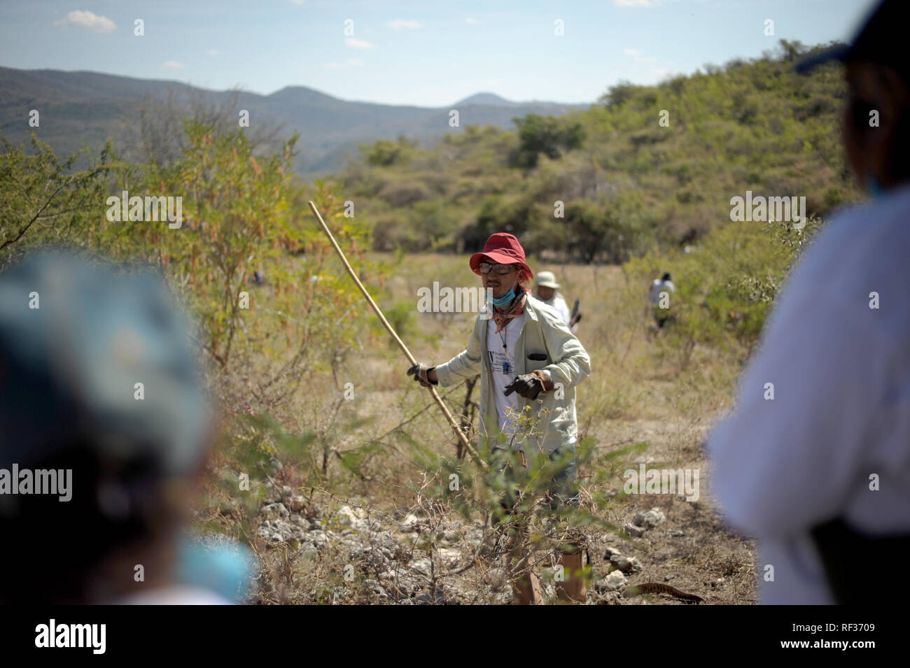 23 January 2019, Mexico, Huitzuco: Participants of the 4th National Search Brigade are searching for hidden graves. More than 40,000 people are considered missing in Mexico. A group of relatives tries on their own to find hidden graves and thus perhaps to make the mourning possible for some families. (to dpa "The Search for Certainty - Hidden Tombs in Mexico" of 24.01.2019) Photo: Jesus Alvarado/dpa Stock Photo