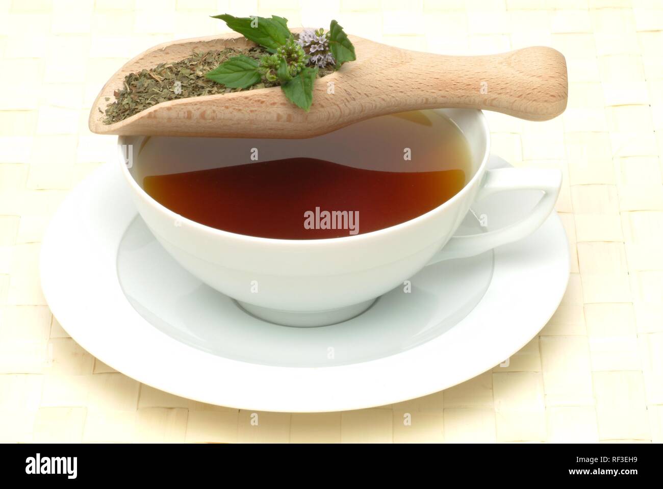 Peppermint (Mentha x piperita), peppermint tea, herbal tea Stock Photo