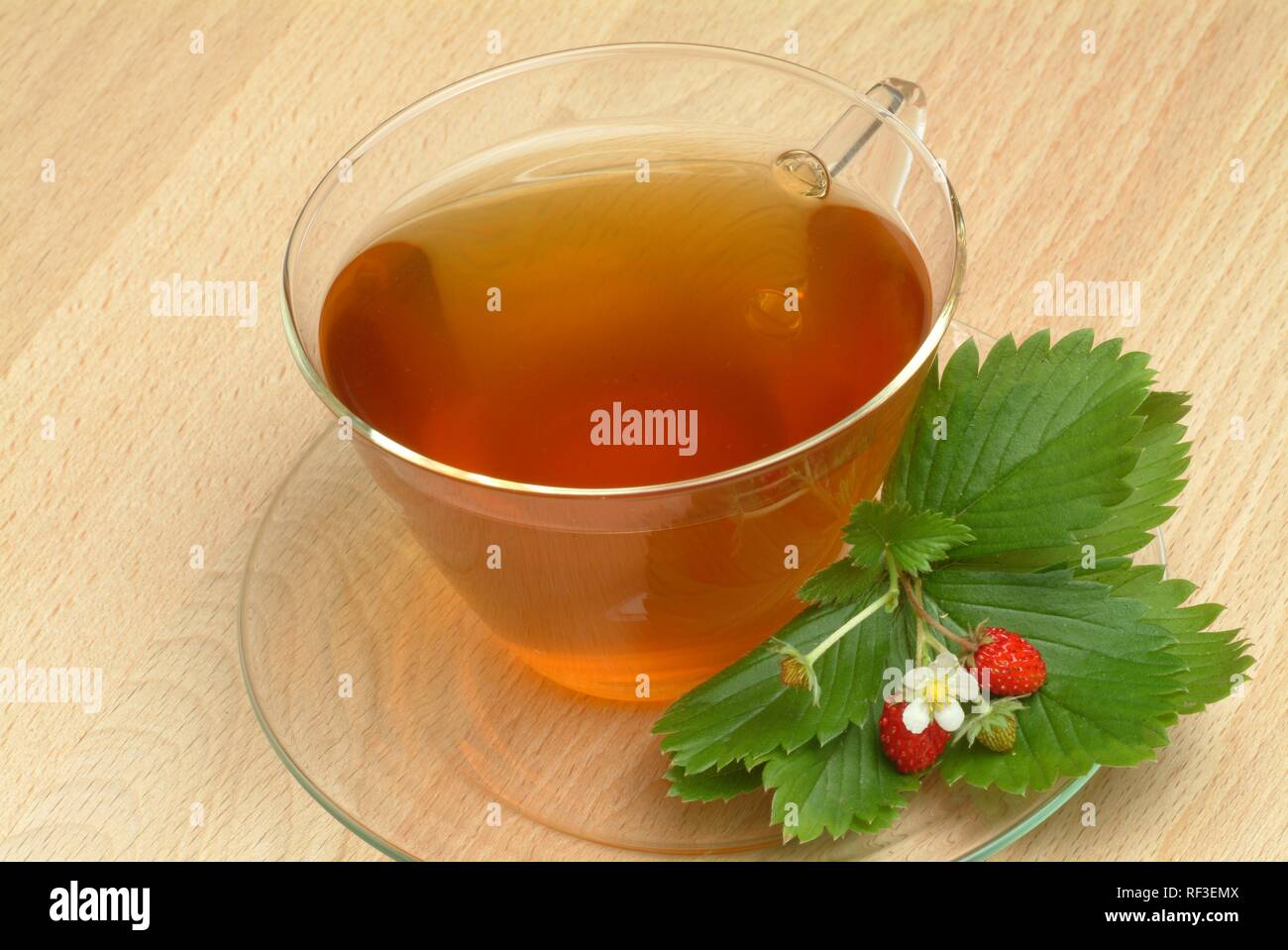 Wild - or Woodland Strawberry (Fragaria vesca) tea, herbal tea Stock Photo