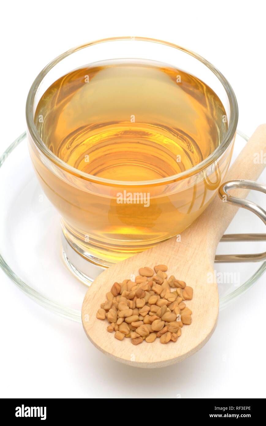 Fenugreek (Trigonella foenum-graecum) herbal tea, medicinal tea Stock Photo