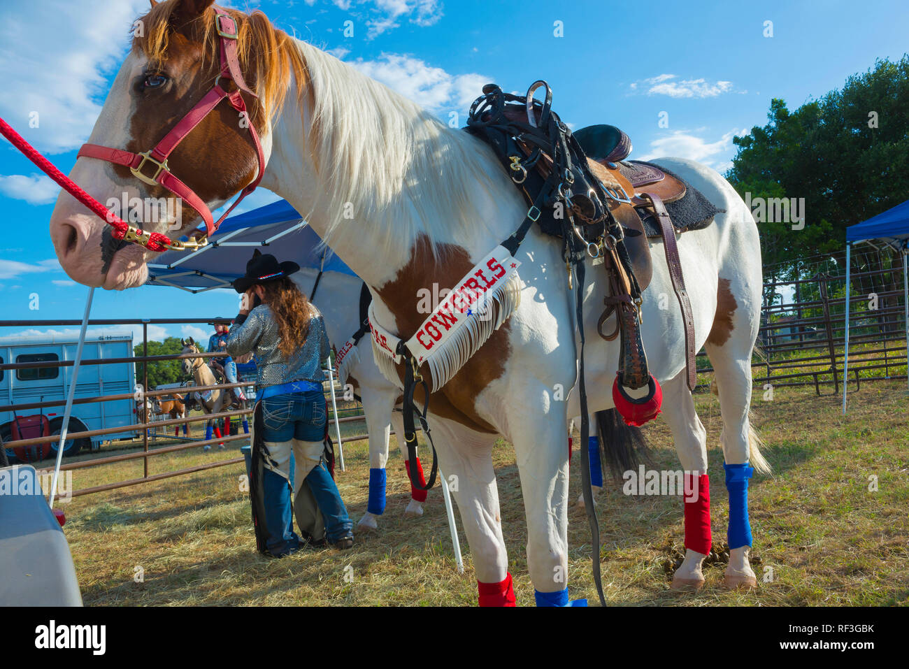 Texas Cowgirl Stock Photos & Texas Cowgirl Stock Images Alamy