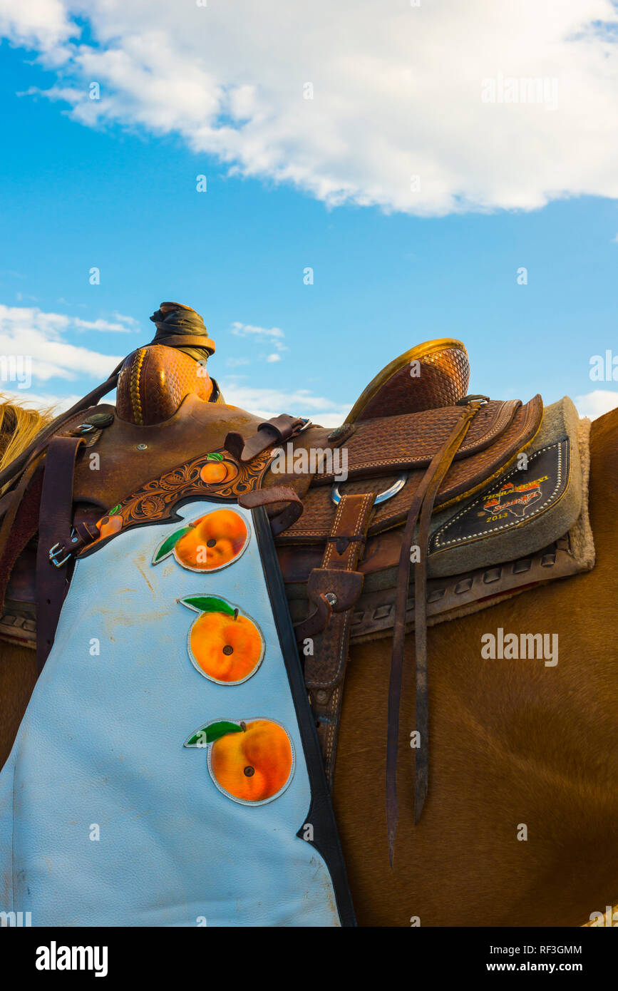 Old horse tack hi-res stock photography and images - Alamy