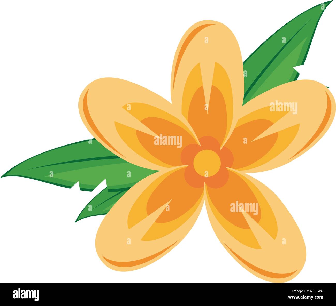 Beautiful flowers isolated Stock Vector Image & Art - Alamy