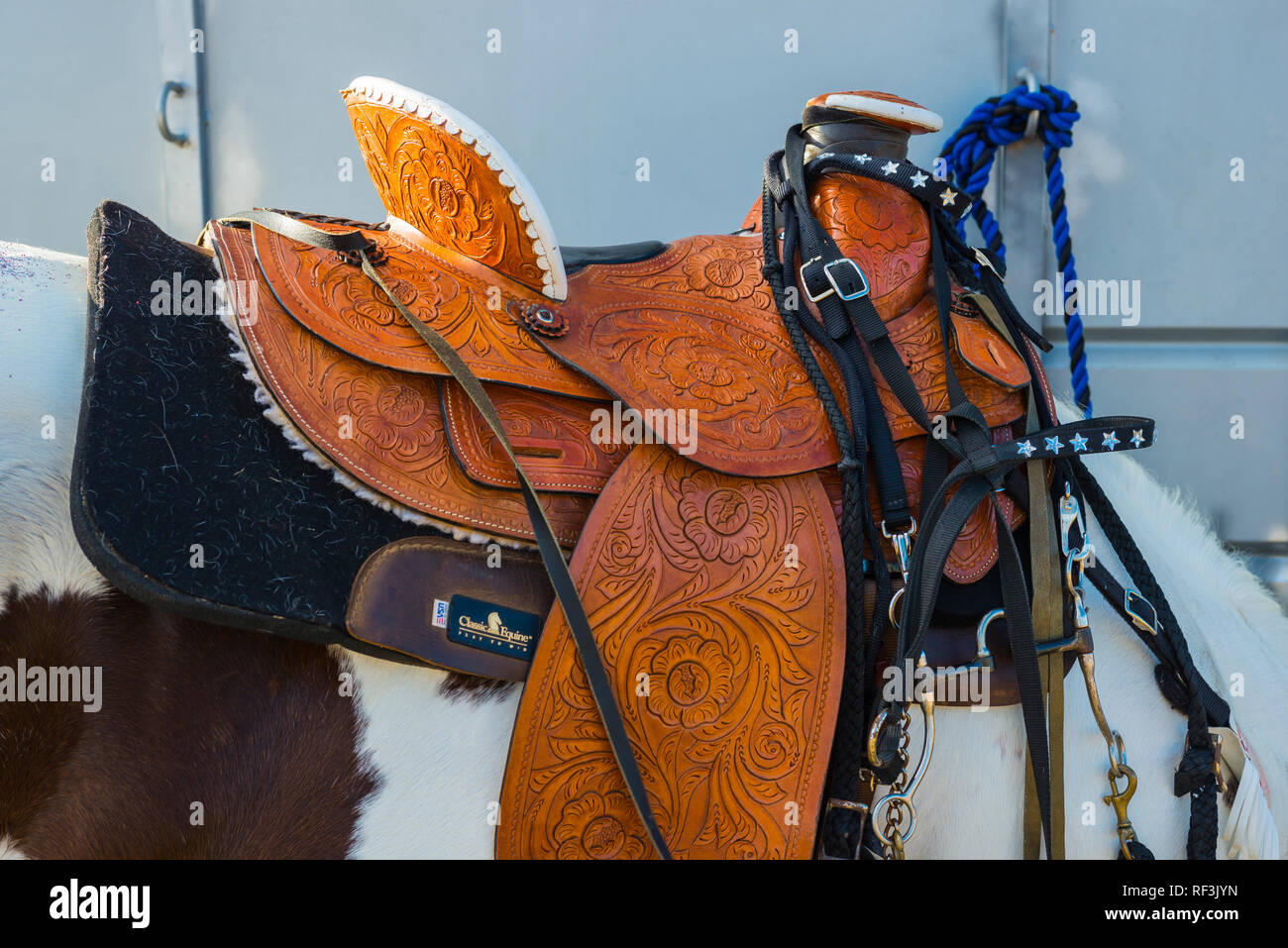 Western leather saddle hi-res stock photography and images - Page 10 - Alamy