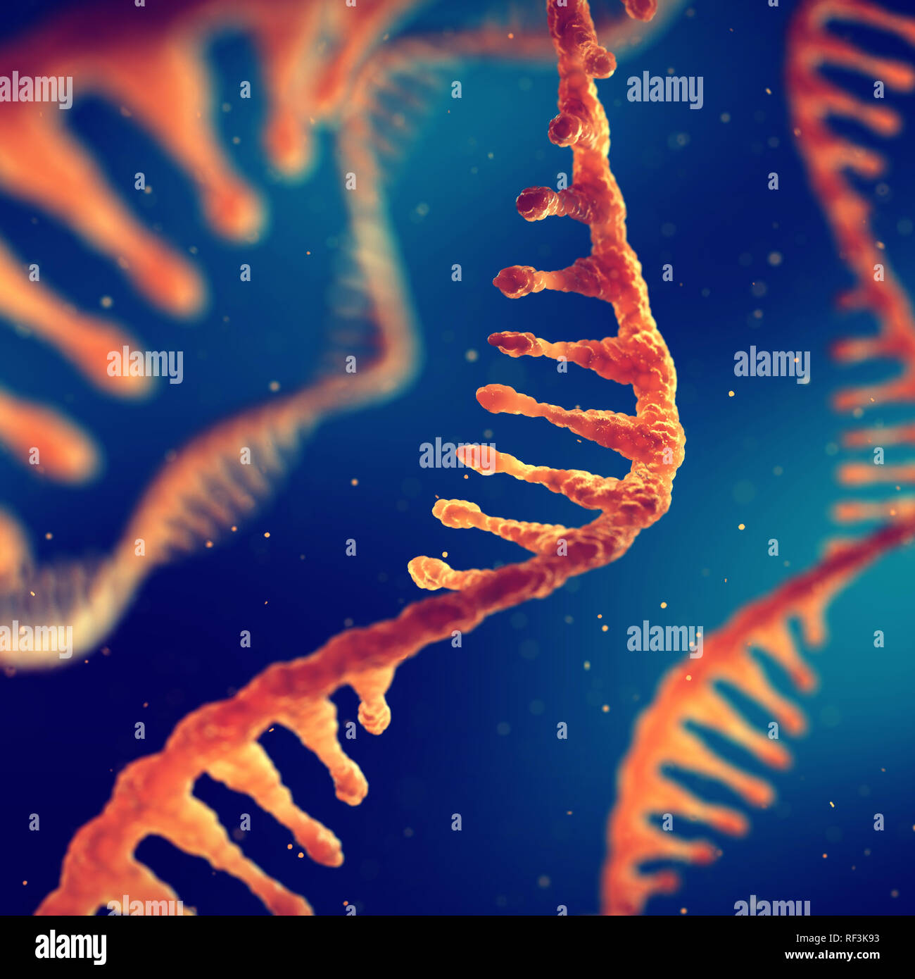 Single strand ribonucleic acid, RNA research and treatment Stock Photo