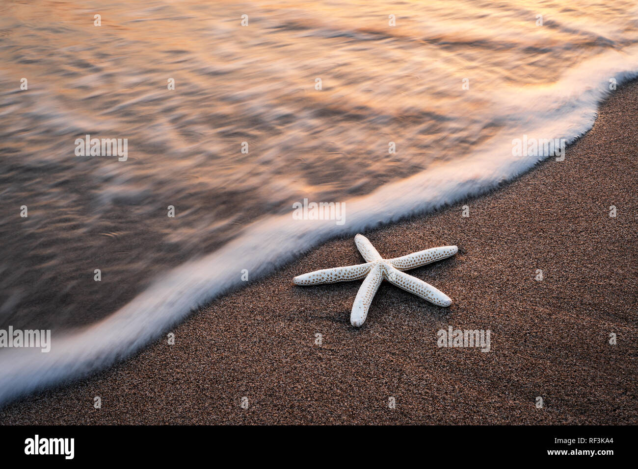 Amazing Mediterranean seascape with golden sand and blue waves. Summer vacations background Stock Photo