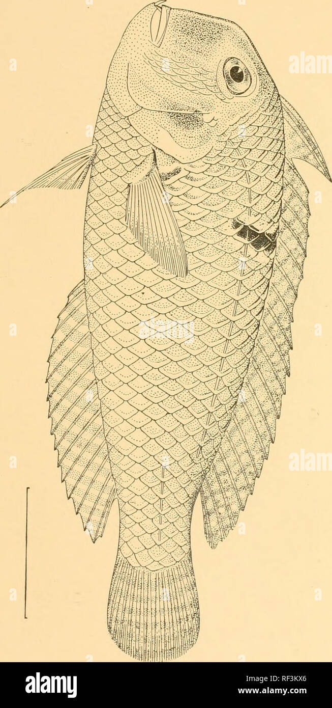 Sd x hi-res stock photography and images - Page 8 - Alamy