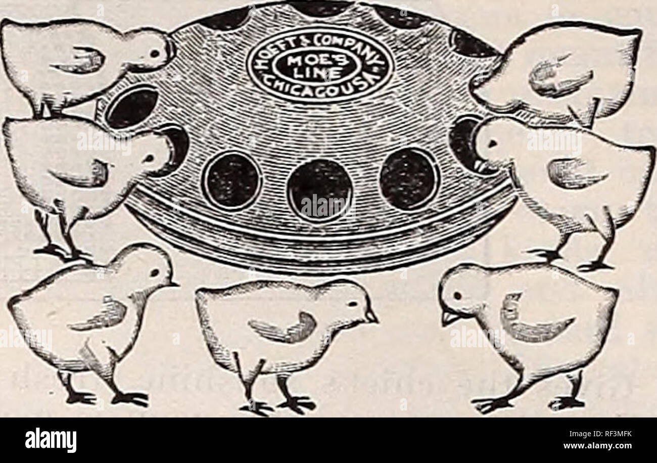 12/" Galvanized Slide Top Poultry Chicken Feeder Used Stock