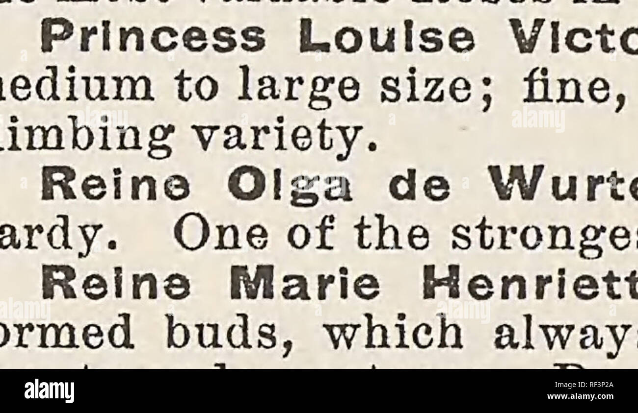 Br 01 5 High Resolution Stock Photography And Images Alamy