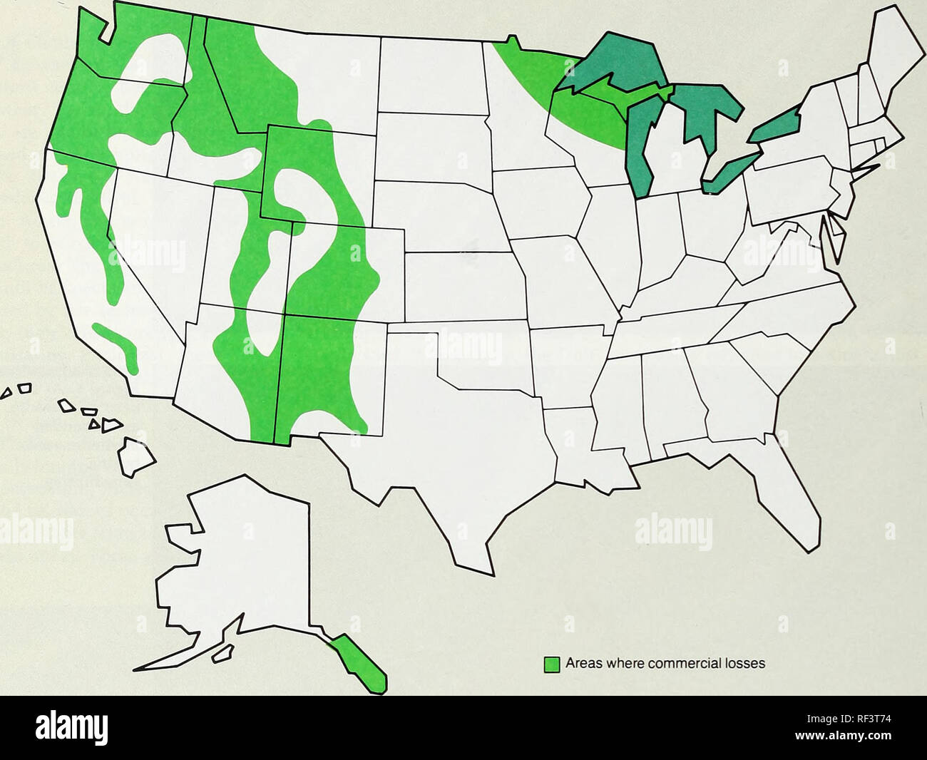 Douglas fir tree disease hires stock photography and images Alamy