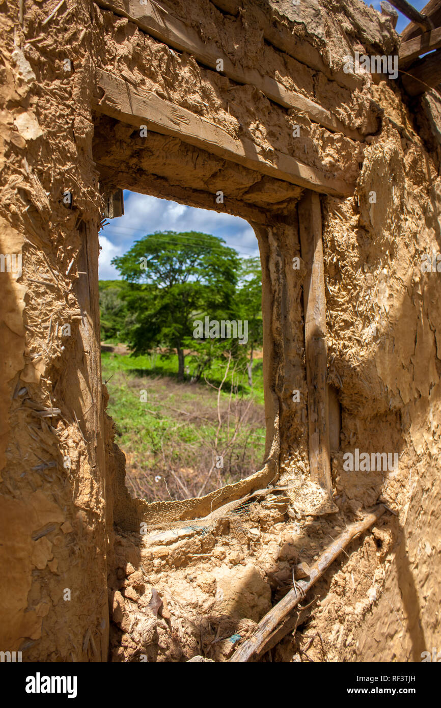ruined mud house window with tree view Stock Photo