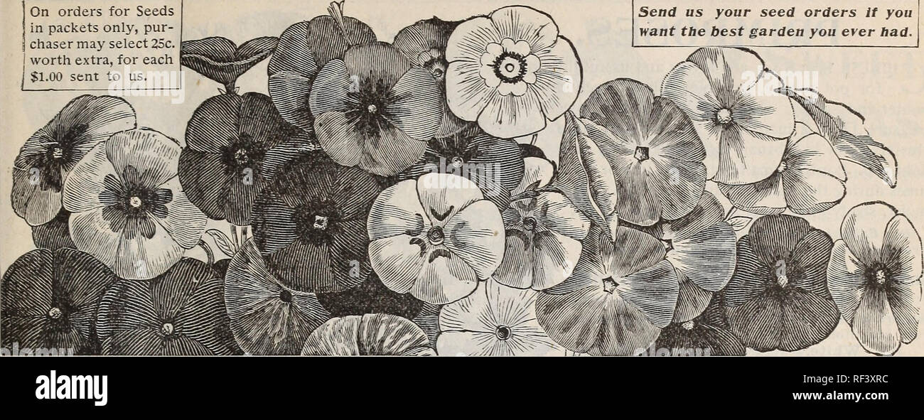 Novelties And Specialties For 1897 Nursery Stock Illinois