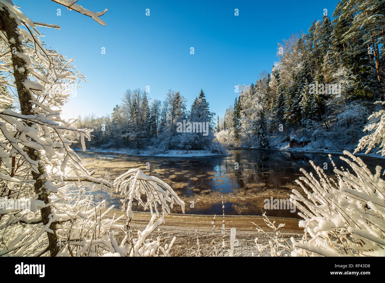 sun rising in heavy snow covered forest. first rays of light shining on
