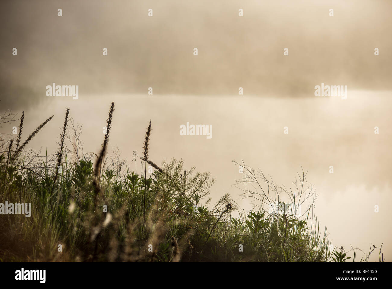misty morning by the lake with blue sky, wet grass and mist reflections ...