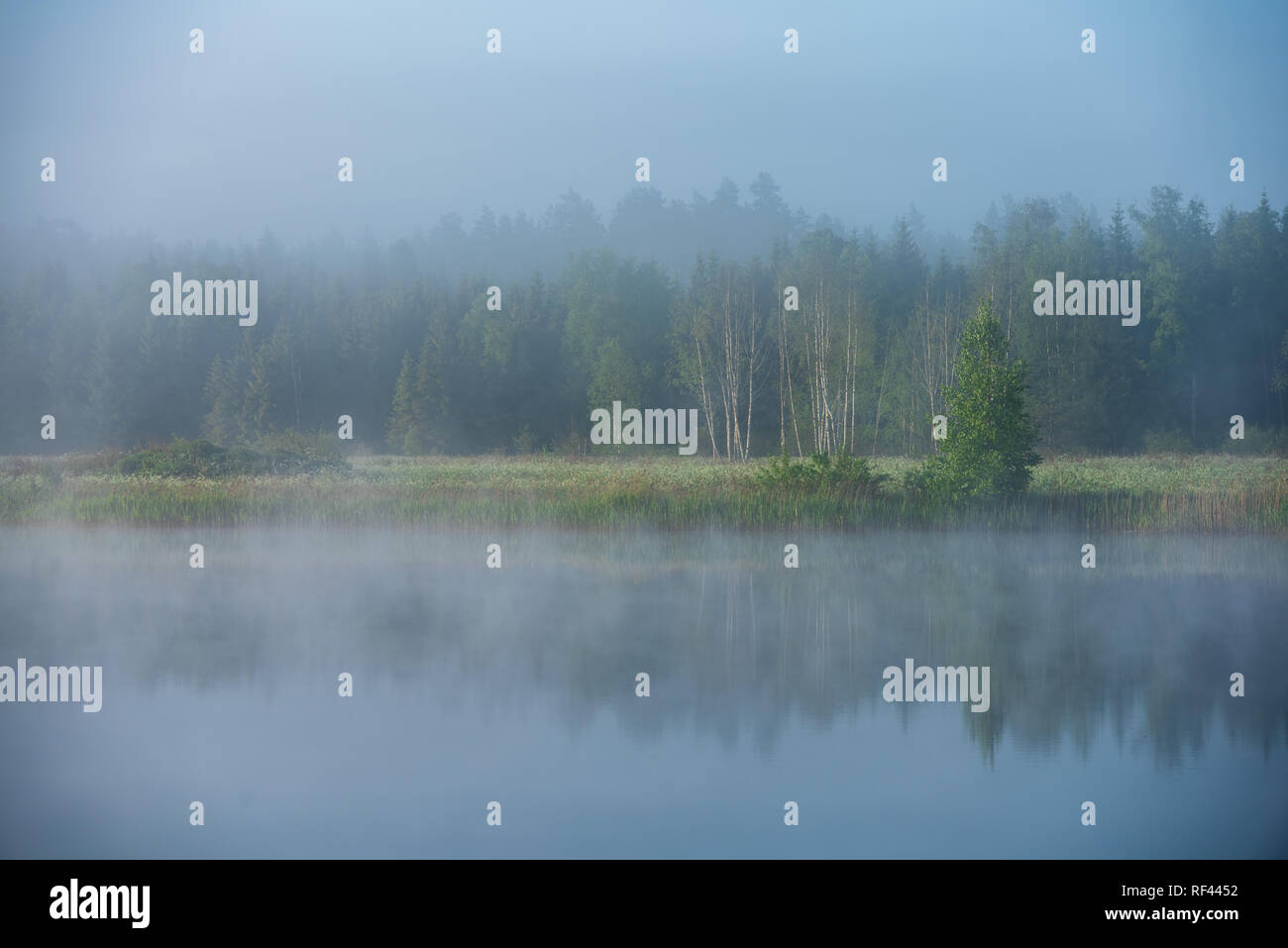 misty morning by the lake with blue sky, wet grass and mist reflections ...