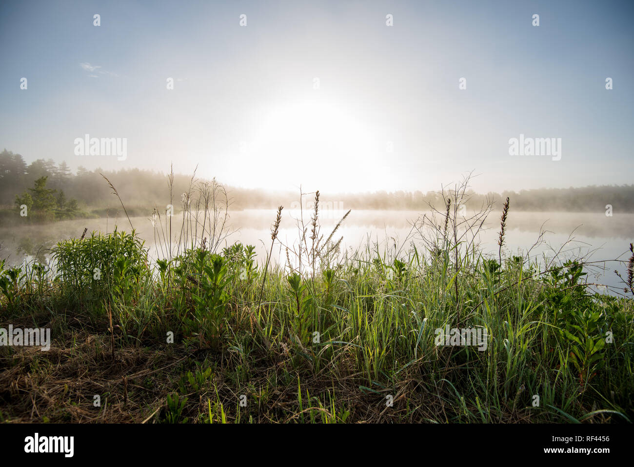 misty morning by the lake with blue sky, wet grass and mist reflections ...