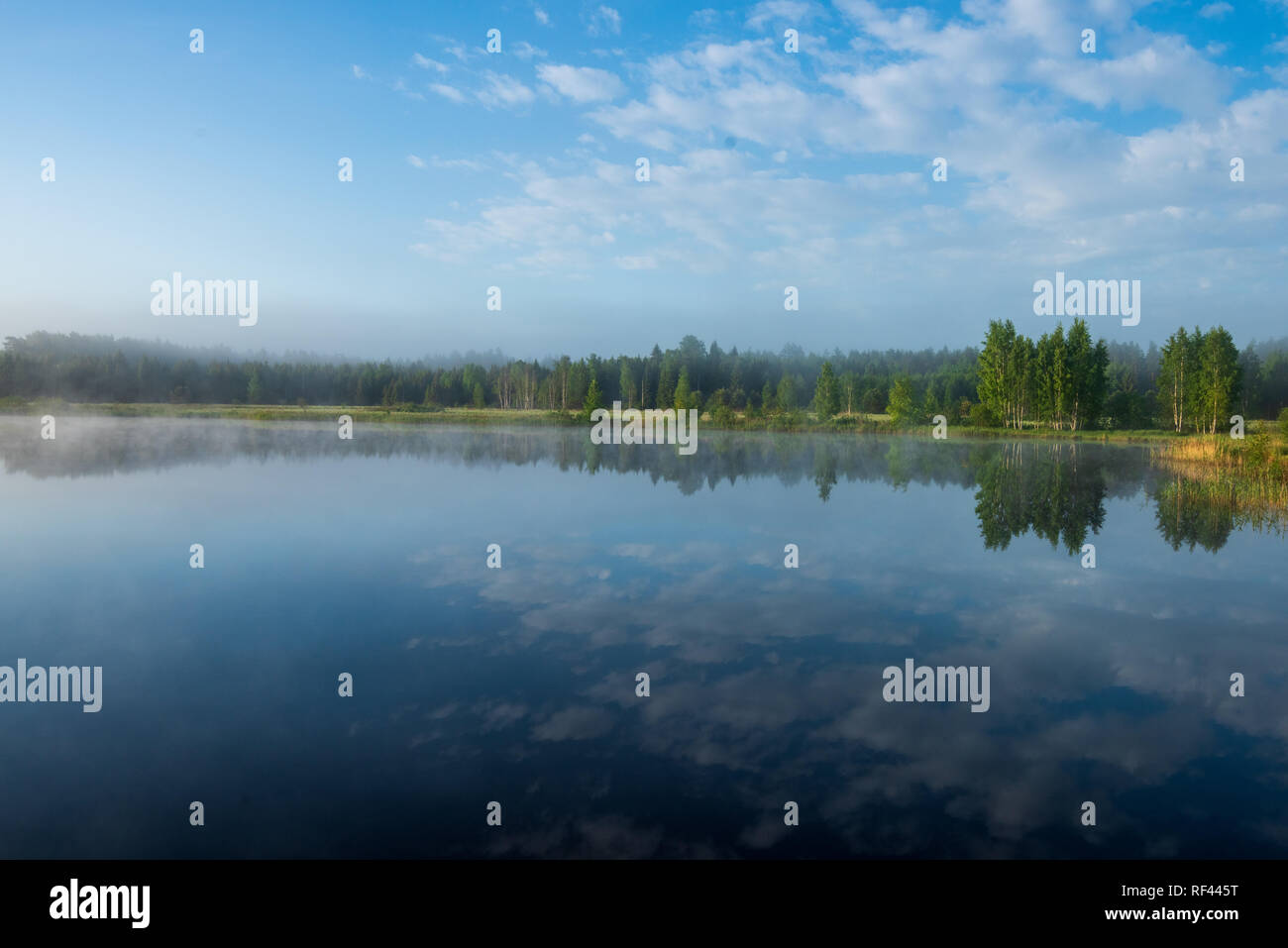 misty morning by the lake with blue sky, wet grass and mist reflections ...