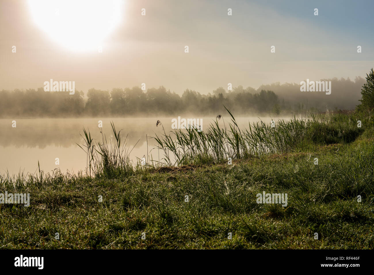 misty morning by the lake with blue sky, wet grass and mist reflections ...