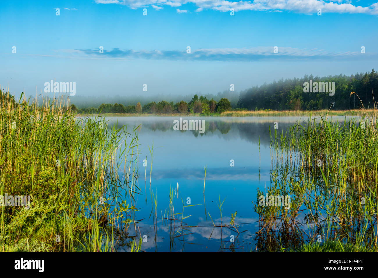 misty morning by the lake with blue sky, wet grass and mist reflections ...