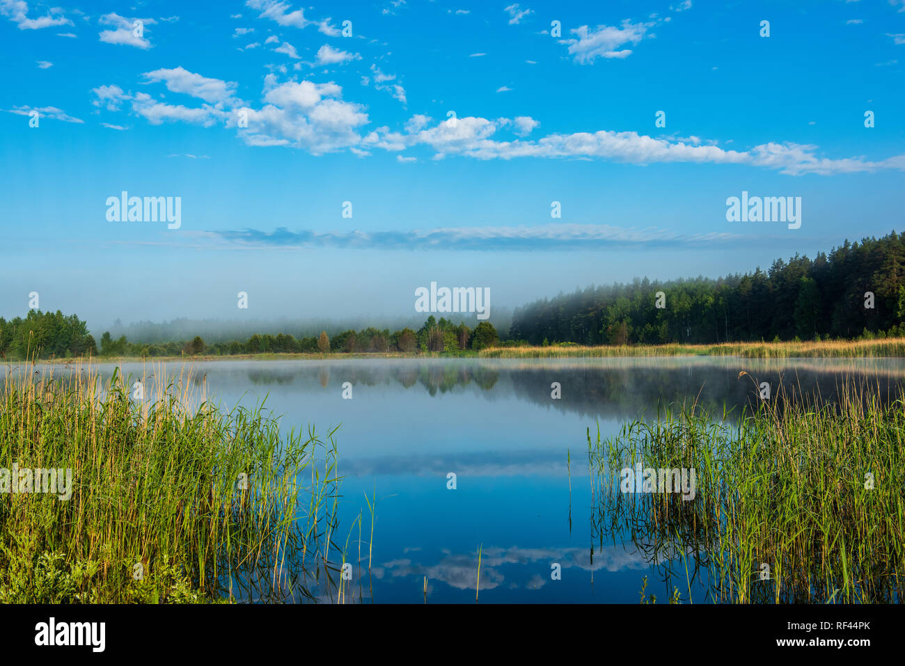 misty morning by the lake with blue sky, wet grass and mist reflections ...