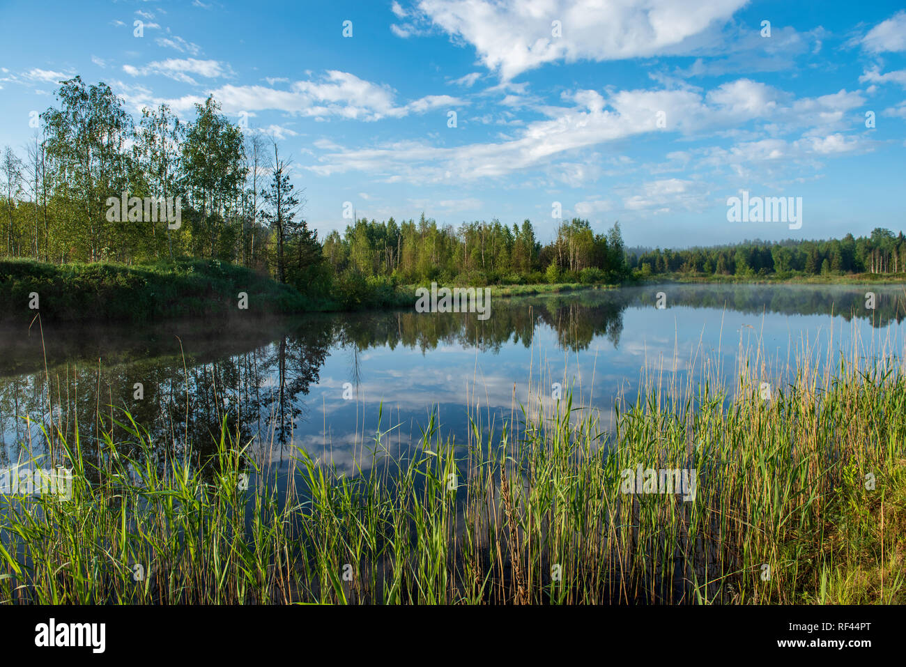 misty morning by the lake with blue sky, wet grass and mist reflections ...