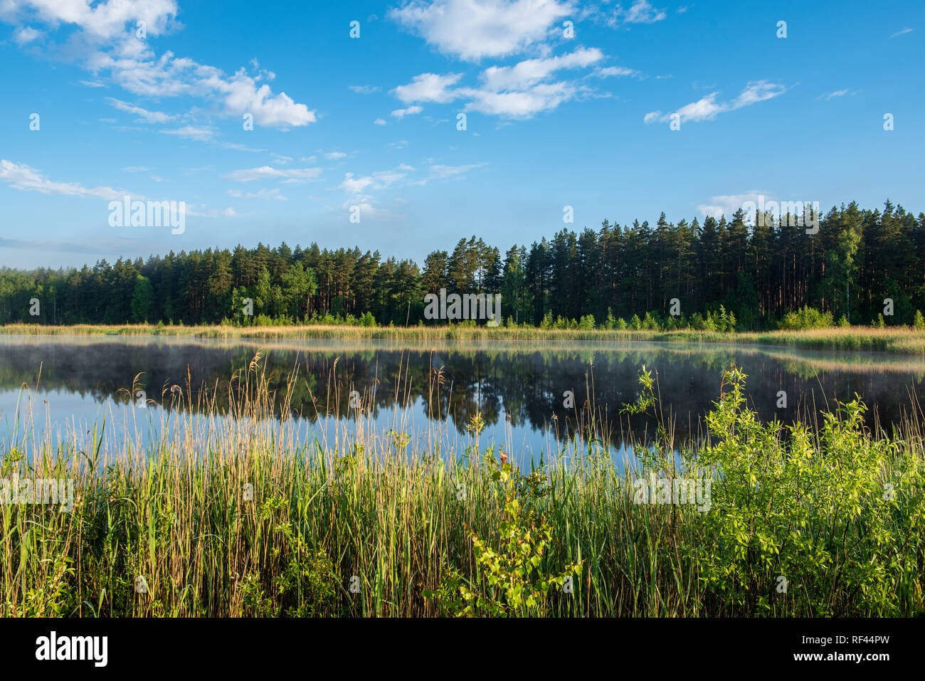 misty morning by the lake with blue sky, wet grass and mist reflections ...