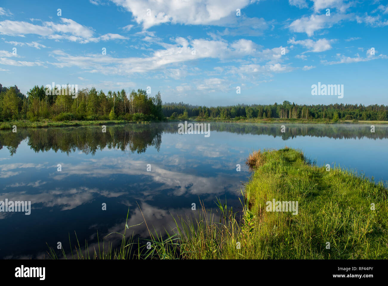 misty morning by the lake with blue sky, wet grass and mist reflections ...