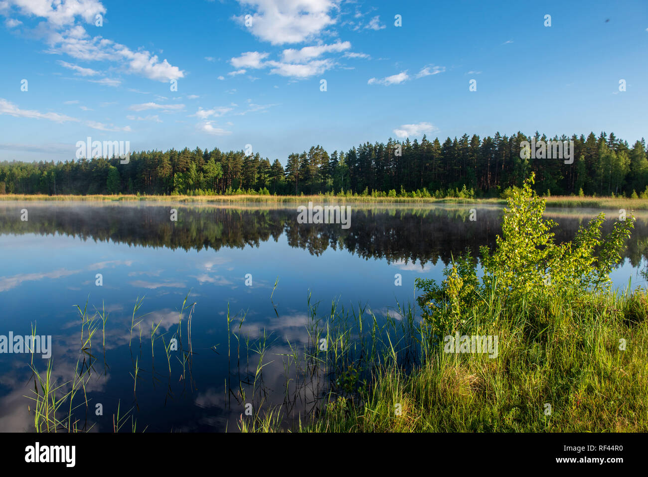 misty morning by the lake with blue sky, wet grass and mist reflections ...