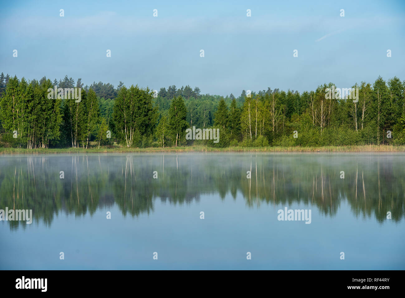 misty morning by the lake with blue sky, wet grass and mist reflections ...