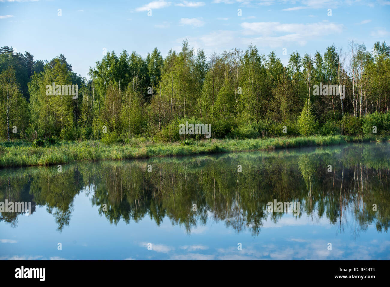 misty morning by the lake with blue sky, wet grass and mist reflections ...