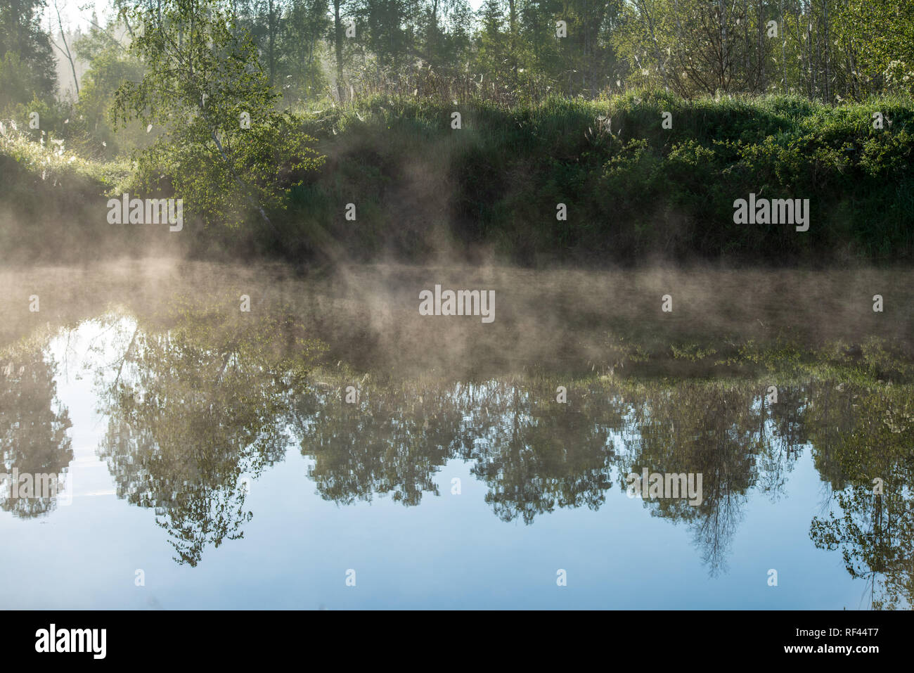 misty morning by the lake with blue sky, wet grass and mist reflections ...