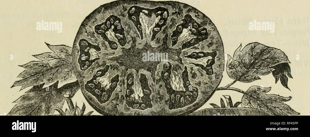 . Eastman's annual seed catalogue. Nursery stock Maine East Sumner