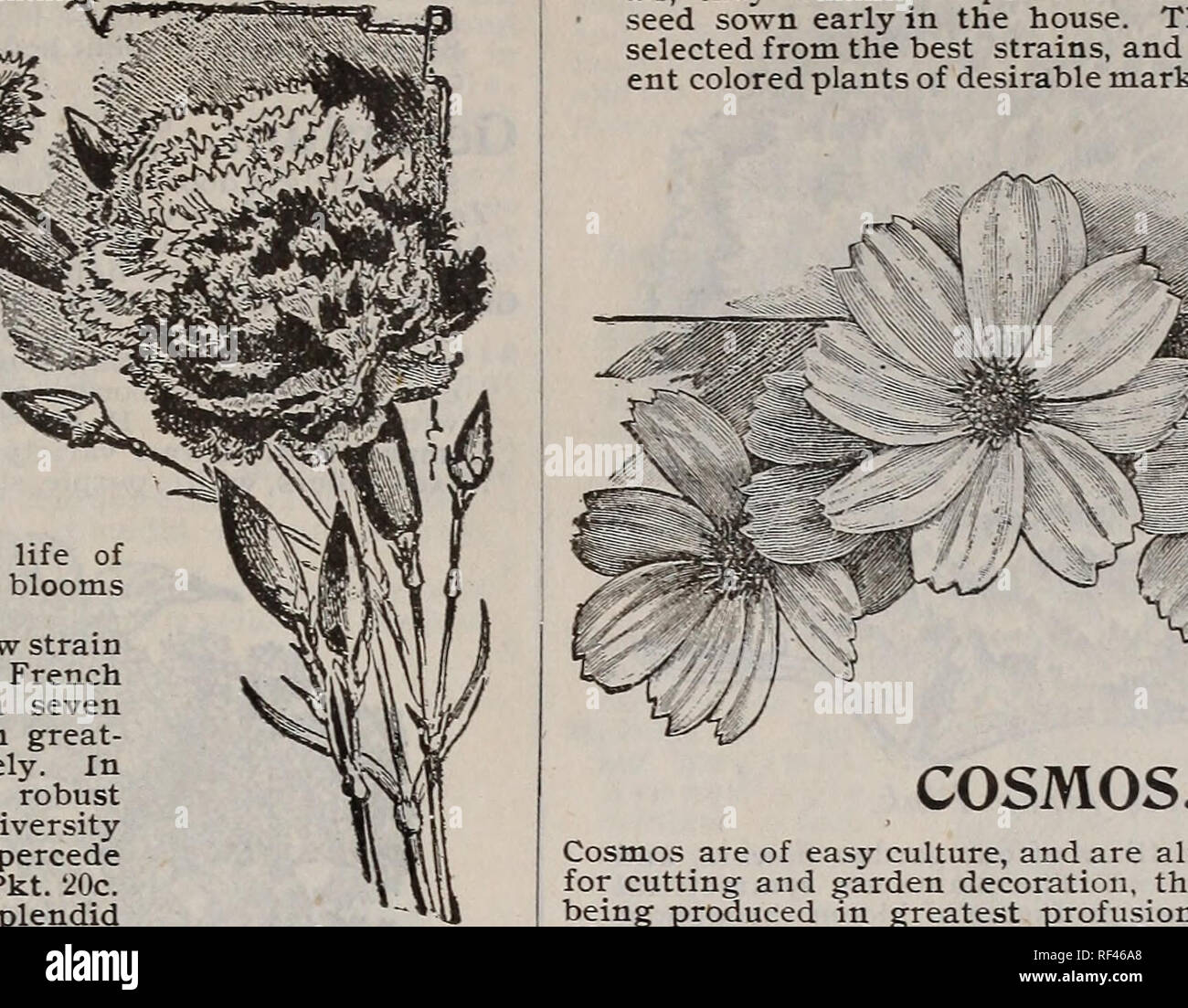 Mr t cereal hires stock photography and images Alamy