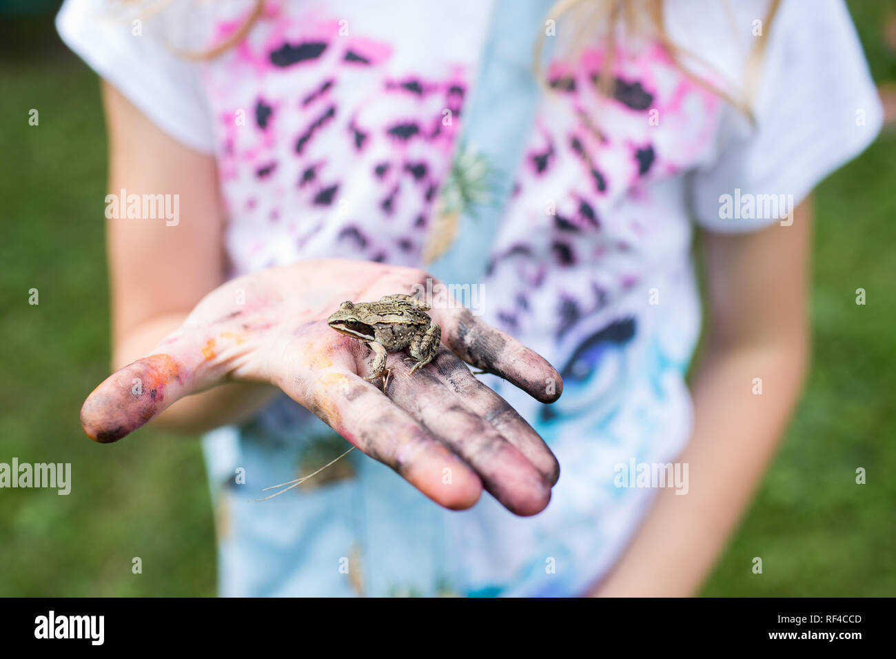 close up of child holding a small frog in dirty hand Stock Photo